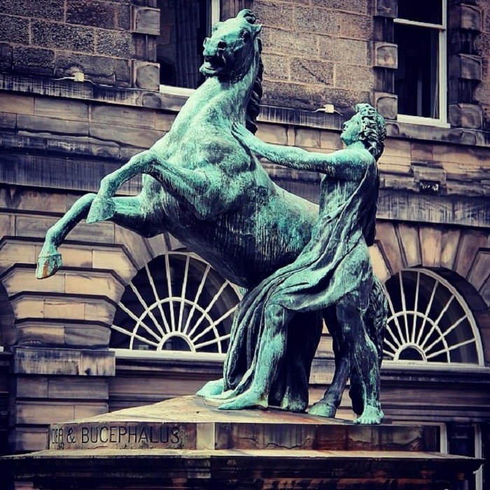 10852837_734564816640421_1163781973_n