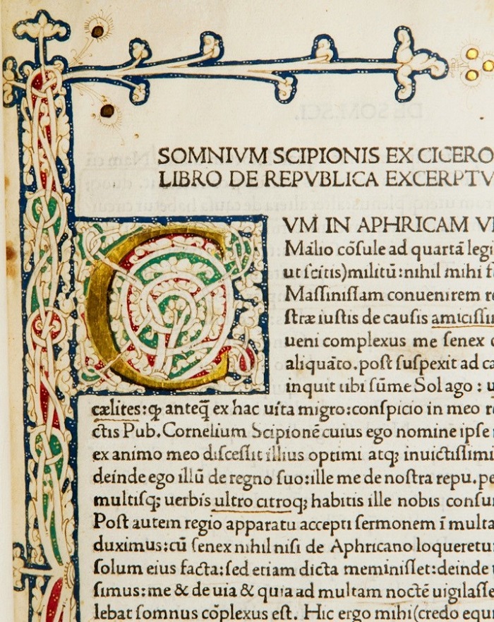 b951ed8ccb87a5cca0c76fb8ec801c7f--yule-florence (2)